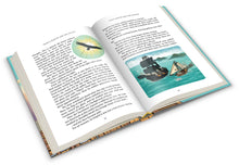 Load image into Gallery viewer, Prince Martin and the Pirates